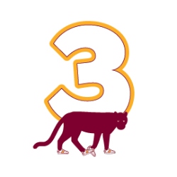 Fundraising Page Image