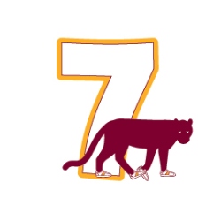 Fundraising Page Image